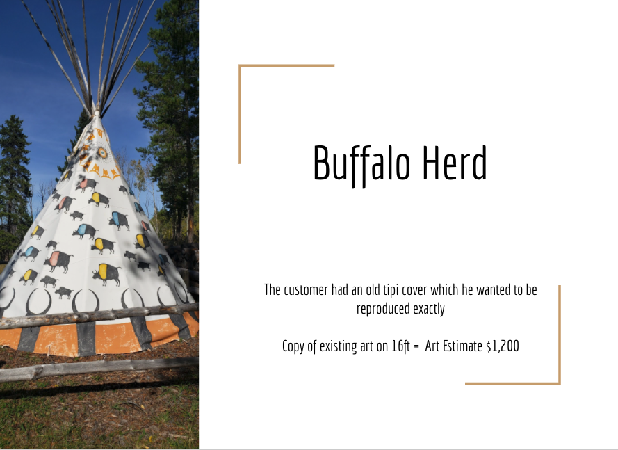 Buffalo Herd Shooting Star Ranch